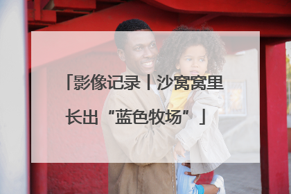 影像记录丨沙窝窝里长出“蓝色牧场”