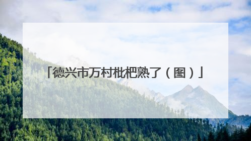 德兴市万村枇杷熟了（图）