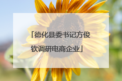 德化县委书记方俊钦调研电商企业