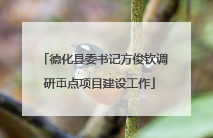 德化县委书记方俊钦调研重点项目建设工作