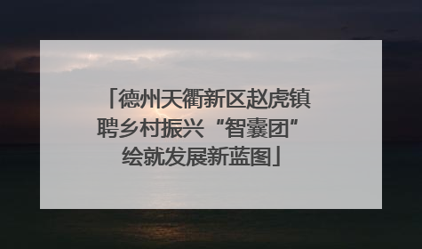 德州天衢新区赵虎镇聘乡村振兴“智囊团” 绘就发展新蓝图