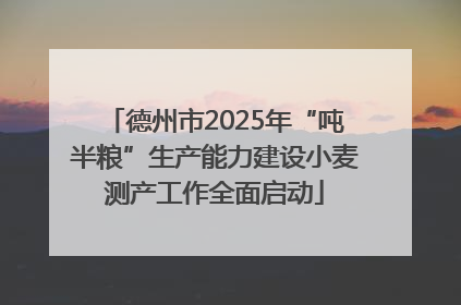 德州市2025年“吨半粮”生产能力建设小麦测产工作全面启动