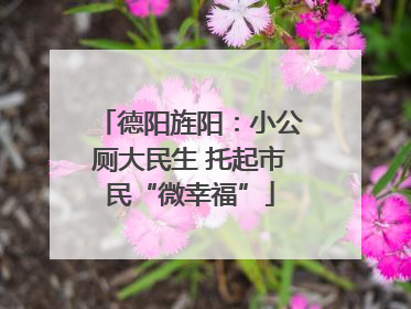 德阳旌阳：小公厕大民生 托起市民“微幸福”