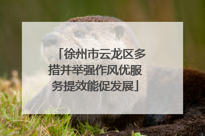 徐州市云龙区多措并举强作风优服务提效能促发展