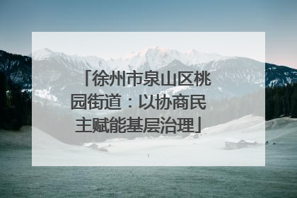 徐州市泉山区桃园街道：以协商民主赋能基层治理