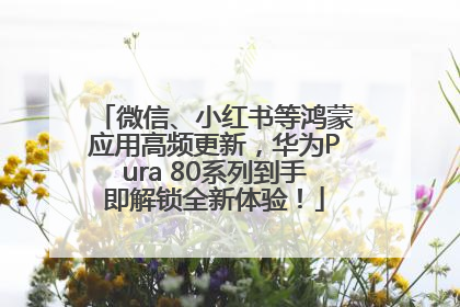 微信、小红书等鸿蒙应用高频更新，华为Pura 80系列到手即解锁全新体验！