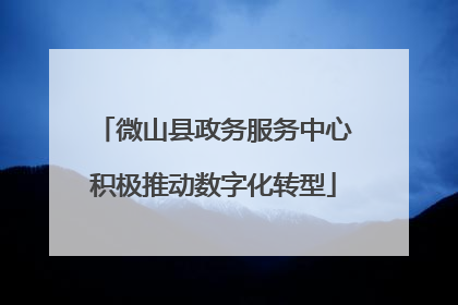 微山县政务服务中心积极推动数字化转型