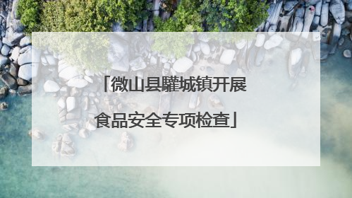 微山县驩城镇开展食品安全专项检查