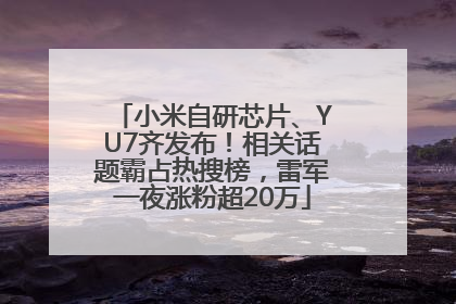 小米自研芯片、YU7齐发布！相关话题霸占热搜榜，雷军一夜涨粉超20万