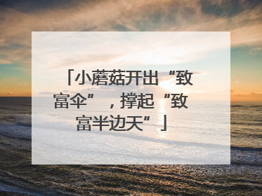 小蘑菇开出“致富伞”，撑起“致富半边天”