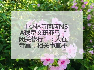 少林寺回应NBA球星文班亚马“闭关修行”：人在寺里，相关事宜不便公开