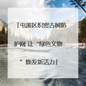 屯溪区织密古树防护网 让“绿色文物”焕发新活力