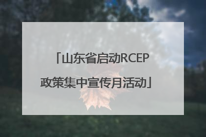 山东省启动RCEP政策集中宣传月活动