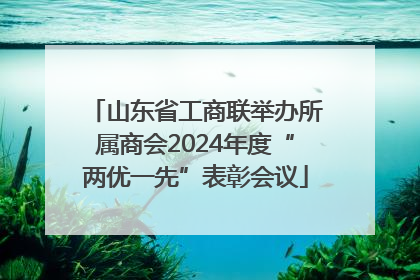 山东省工商联举办所属商会2024年度“两优一先”表彰会议