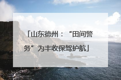 山东德州：“田间警务”为丰收保驾护航