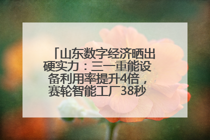 山东数字经济晒出硬实力：三一重能设备利用率提升4倍，赛轮智能工厂38秒生产一条轮胎