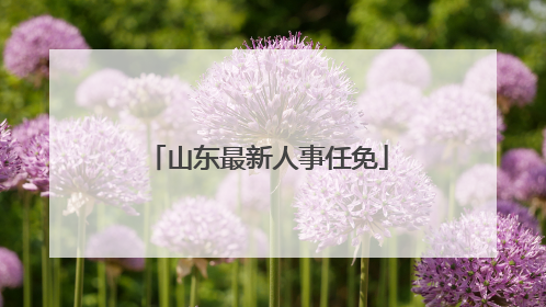 山东最新人事任免