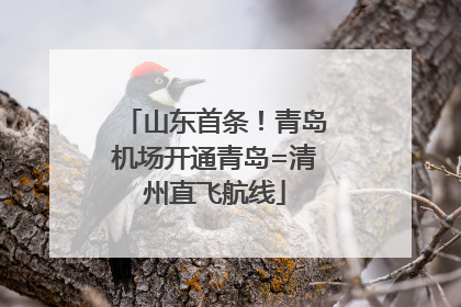 山东首条！青岛机场开通青岛=清州直飞航线