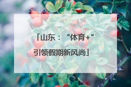 山东：“体育+”引领假期新风尚
