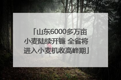 山东6000多万亩小麦陆续开镰 全省将进入小麦机收高峰期