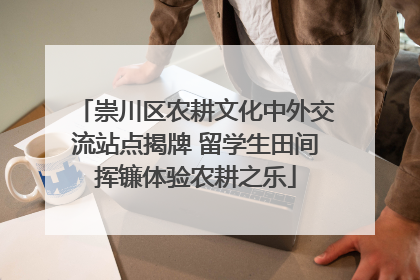 崇川区农耕文化中外交流站点揭牌 留学生田间挥镰体验农耕之乐