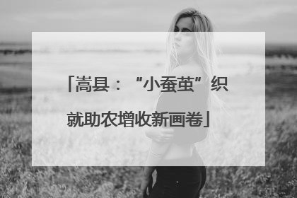 嵩县：“小蚕茧”织就助农增收新画卷