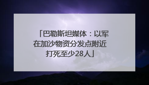 巴勒斯坦媒体：以军在加沙物资分发点附近打死至少28人