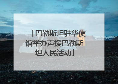 巴勒斯坦驻华使馆举办声援巴勒斯坦人民活动