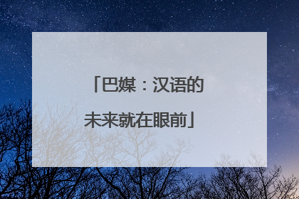 巴媒：汉语的未来就在眼前