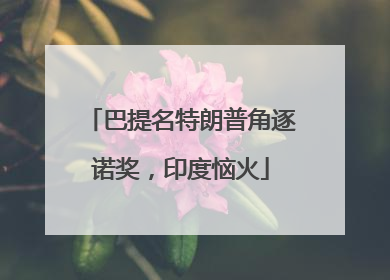 巴提名特朗普角逐诺奖，印度恼火