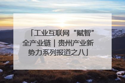 工业互联网“赋智”全产业链｜贵州产业新势力系列报道之八