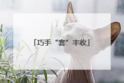 巧手“套”丰收