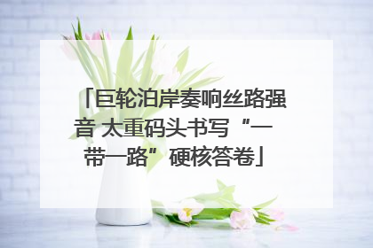 巨轮泊岸奏响丝路强音 太重码头书写“一带一路”硬核答卷