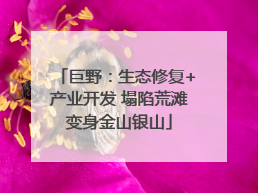 巨野：生态修复+产业开发 塌陷荒滩变身金山银山