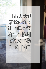 市人大代表徐向东：让“低空经济”在杭州飞得又“稳”又“好”