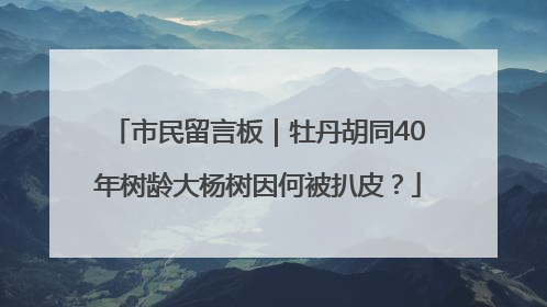 市民留言板｜牡丹胡同40年树龄大杨树因何被扒皮？