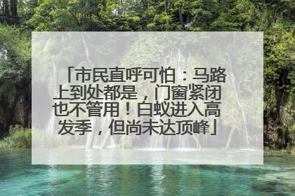 市民直呼可怕：马路上到处都是，门窗紧闭也不管用！白蚁进入高发季，但尚未达顶峰