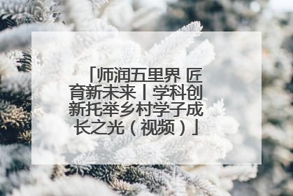 师润五里界 匠育新未来丨学科创新托举乡村学子成长之光（视频）