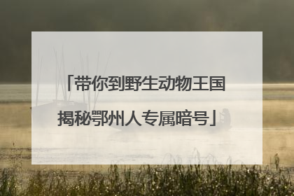 带你到野生动物王国揭秘鄂州人专属暗号