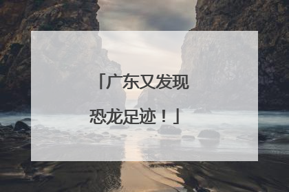 广东又发现恐龙足迹！