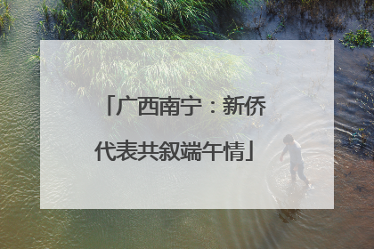 广西南宁：新侨代表共叙端午情