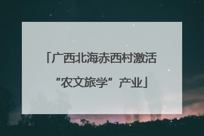 广西北海赤西村激活“农文旅学”产业