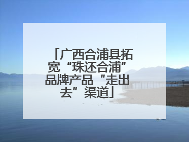 广西合浦县拓宽“珠还合浦”品牌产品“走出去”渠道