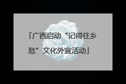 广西启动“记得住乡愁”文化外宣活动