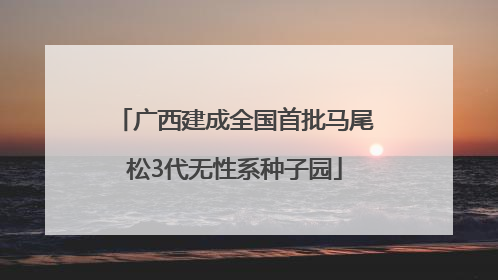 广西建成全国首批马尾松3代无性系种子园