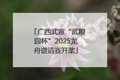 广西武宣“武粮园杯”2025龙舟邀请赛开桨