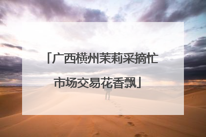 广西横州茉莉采摘忙 市场交易花香飘