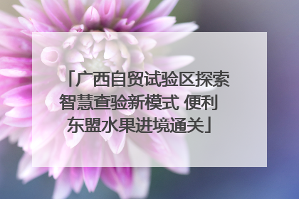 广西自贸试验区探索智慧查验新模式 便利东盟水果进境通关