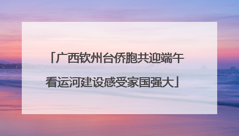 广西钦州台侨胞共迎端午 看运河建设感受家国强大
