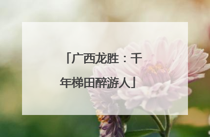广西龙胜：千年梯田醉游人